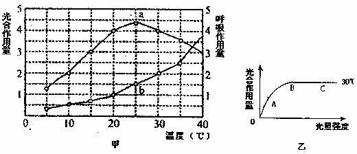 52.下圖甲圖中.a曲線表示在一定光照強度.不同溫度條件下.某植物的光合作用量(單位時間內同化的CO2量),b曲線表示同等條件下的呼吸作用量(單位時間內釋放的CO2量).乙圖表示的是該植物在30℃條件