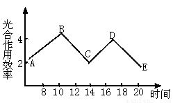 ⅰ.下面左圖是植物細(xì)胞亞顯微結(jié)構(gòu)模式圖.右圖是植物葉肉細(xì)胞中光合作用和呼吸作用的物質(zhì)變化示意簡圖.其中a.b表示物質(zhì).① ④表示生理過程.據(jù)圖回答 1 紅色西瓜的瓜瓤細(xì)胞中