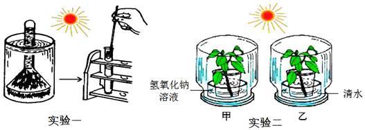 某學(xué)校生物科技活動小組的同學(xué)們對&ldquo;環(huán)境因素對光合作用強度的影響&rdquo;,設(shè)計了如下A、B兩組實驗:
