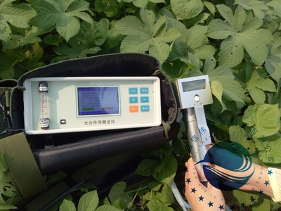 光合作用測(cè)定儀 助力植物光合效率研究的先進(jìn)工具
