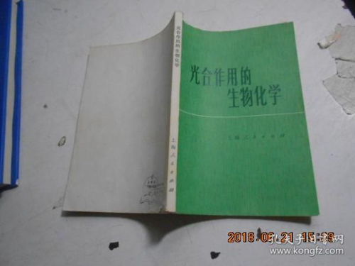 光合作用的生物化學(xué)機制